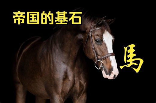 帝国的基石——马的演化
