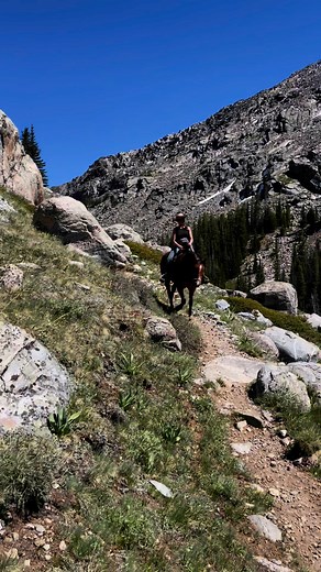 🐎🐴 Riding horses and mules in the wild – nothing compares to this freedom. #MountainAdventures #CrossCountryEquine #EquestrianLife If you like this reel, hit the follow button @ [24600186502903569:49210:@highlight] Share this and all your favorite reels. | Mark Patterson