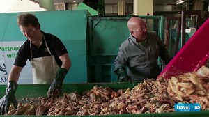 In Vegas, Pigs Eat for Free - Bizarre Foods with Andrew Zimmern | Bizarre Foods