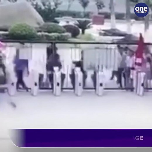 Chimpanzee Escapes Zoo Enclosure, Attacks Zookeeper