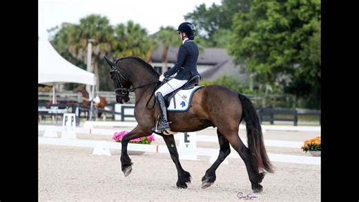 #isfbred Watch the highlights of Absolute ISF's winning First Level Test 3 ride under Angela Sasso at the Adequan Global Dressage Festival 6 in February 2024. Absolute ISF (Hedser 465, Sport x Brend 413, Sport) is a developing Friesian dressage horse raised, bred, and shown by Iron Spring Farm. www.ironspringfarm.com #ironspringfarm #friesian #isfbred #isfdevelopinghorse #friesiandressage #hedser465 #brend413 #friesiandressage | Iron Spring Farm