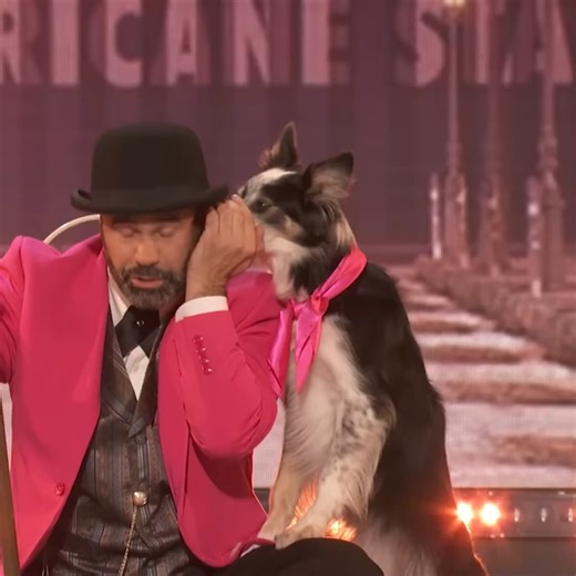 THE BEST DOG ACT IN AGT HISTORY 2025 | Viral Dose
