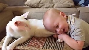 Friday calls for a baby and cat love fest! | Today Show