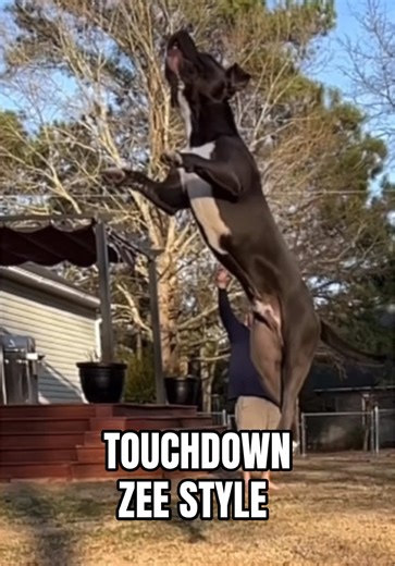 Zee Scores a Touchdown in Style