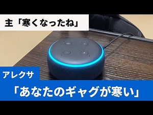 Alexa makes a lame joke