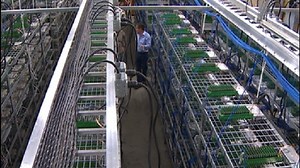 Take a tour of the largest bitcoin mining operation in North America