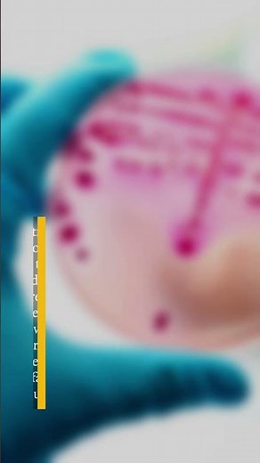Review Article: Group B Streptococcal Disease