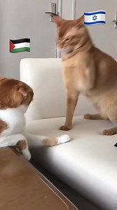 Mohamed Elmay VI on Reels