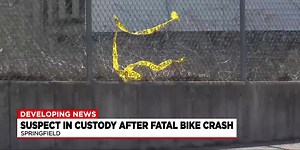 Suspect in deadly Springfield hit-and-run turns himself in