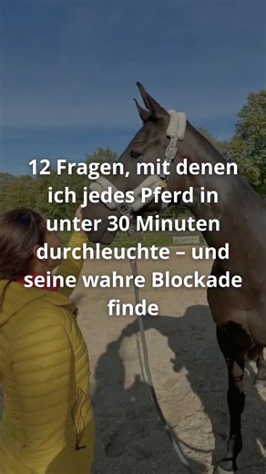 Viele Symptome beim Pferd wirken auf den ersten Blick wie ein medizinisches Problem. Doch in Wahrheit ist es oft ein einziges Puzzleteil, das fehlt – und alles verändert. Seit über 9 Jahren begleite ich Mensch & Pferd auf dem Weg raus aus der „Baustellen-Beziehung“ – und hinein in Klarheit, Verbindung und echte Heilung. Und weißt du, was mir dabei immer wieder hilft? 🧠 12 tiefgehende Fragen, die ich stelle. Diese Fragen sind kein Hokuspokus. Sie sind präzise, klar, logisch – und treffen direkt 