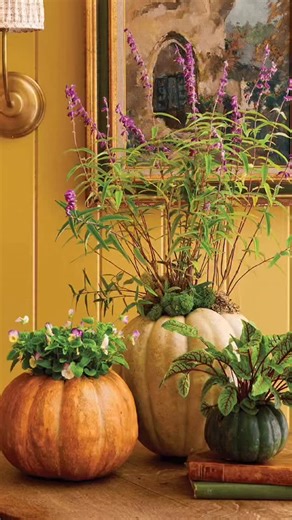 From seasonal flower arrangements to creative pumpkin displays, we love a good DIY centerpiece for the Thanksgiving table. Hollow out a pumpkin for a vase, pick some vibrant leaves from the yard, or gather your favorite seasonal produce cornucopia-style. Head to the link in our bio for more ideas and inspiration! | Country Living Magazine