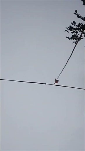 #challenge #comedy #emojigame #trending