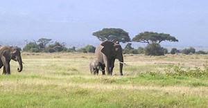 Video by nine lives  films on Pexels