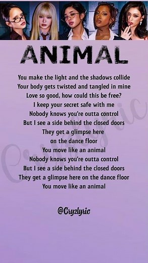 Animal - Katseye Song Lyrics #KATSEYE_ANIMAL #KATSEYE #ANIMAL #LYRICS