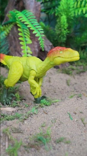 Dromaeosaurus & Mutadon - Jurassic World Survival Toyline #JurassicWorld