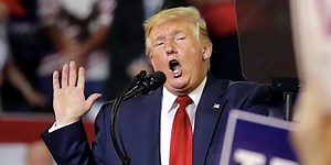 'This was Trump's plot': MSNBC host says Sidney Powell plea undercuts Trump's defense