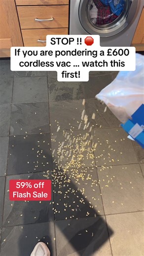 Discover the Powerful Blue Lulu Cordless Vacuum Cleaner