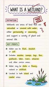 Wetland Explained || An Aspirant !
