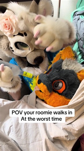 Bloopers from the last tik tok#furry #furrycommunity #furrytiktok #fursuit #furrystreamer