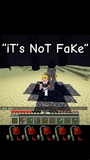 I found the funniest fake minecraft speedrun...
