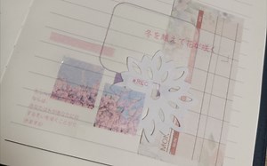 无白墨pet胶带的使用