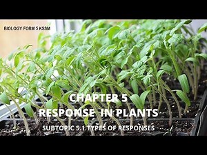 BIOLOGY FORM 5 KSSM : CHAPTER 5 (SUBTOPIC 5.1)