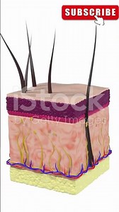 Why does getting a paper cut hurt so much?#shorts #animation #aishorts #viralvideo #reels #paper