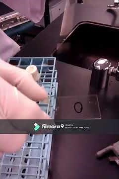 Exam 1 Preparation of a Smear Lab Video 2