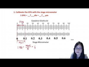 Chapter 1.2 - Micrometry and Magnification | Cambridge A-Level 9700 Biology