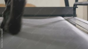 Dog's paws walks on the treadmill