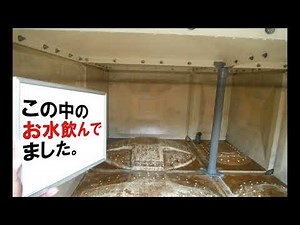 マンションの貯水槽清掃 この中のお水飲んでました。