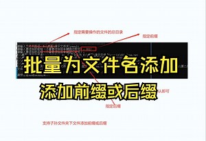 10015-批量给指定文件夹下所有文件名添加前缀或后缀（支持指定文件夹下多层文件夹下的文件添加前缀或后缀）