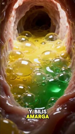 Why does our body make us vomit?