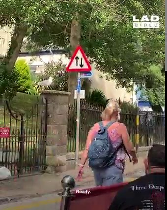 He's been absolutely mugged off by the seagull there 😂😂 | LADbible