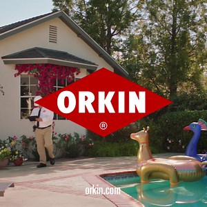 1.9K views · 16 reactions | Orkin techs are trained to find termites wherever they hide. Learn more: https://www.orkin.com/pest-control | Orkin | Facebook