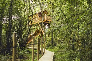 Cabañas en los arboles