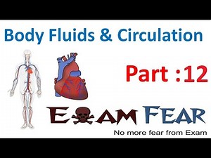 Circulatory System: Fishes and Amphibians Video Lecture | Biology Class 11 - NEET