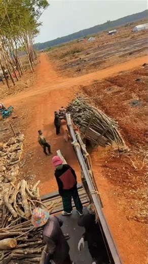best way unloading full load wooden truck- it is traditional way