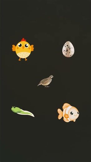 #lyrics #music spongebob