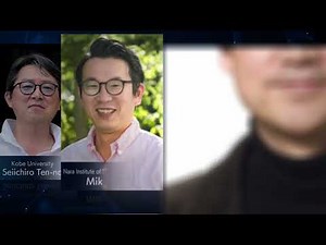 Supercomputer Fugaku Research Highlights (2025 Edition)