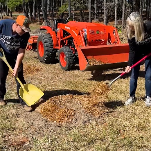 We're Starting Our DREAM Orchard #Orchard #PlantingFruitTrees #PlantingTrees #HomesteadDreams | Piney Grove Homestead and Mini Farm