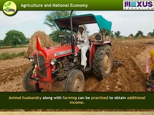 The Green Revolution-ikenschool