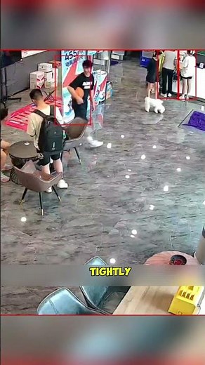 Simple Kindness That Makes Three Friends Happy #shorts #heartwarming #hearttouching #kindness