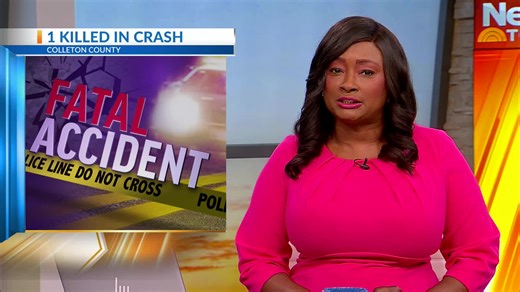 1 dead, 2 hurt in Colleton County crash