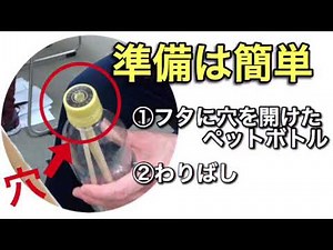 【盛り上がる】ペットボトルと割りばしで手指の運動レクリエーション