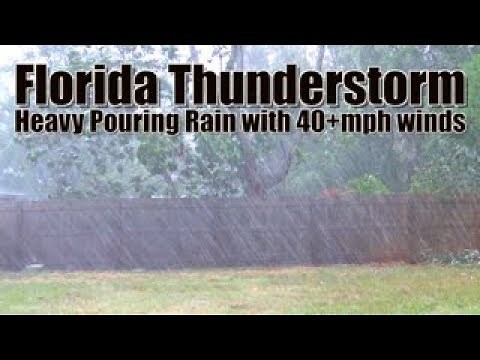 Florida Thunderstorm with 40+mph winds | Heavy Pouring Rain Thunder and Wind Sounds