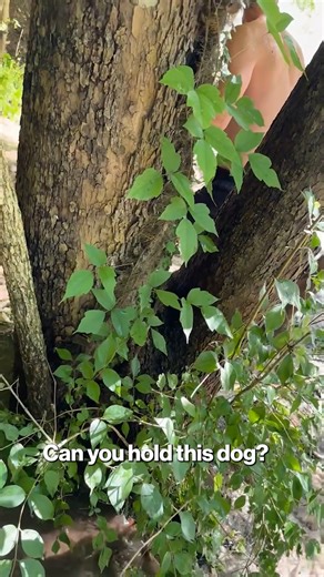 Rock slide causes complete chaos! | New York Post Video