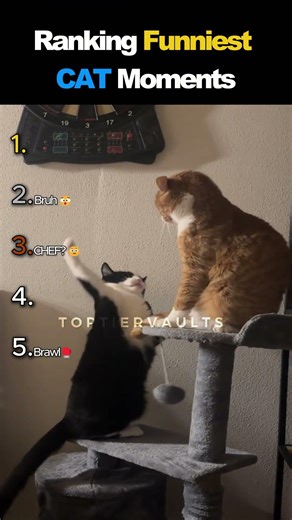 DON'T CHECK THE SOUND 😭 😭