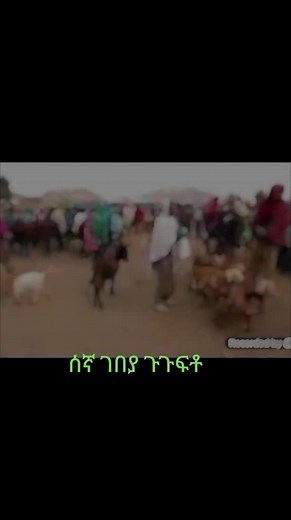 samira said (@samira.said82)’s videos with original sound - samira said