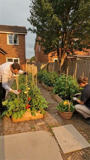From Empty Backyard to Dream Garden 🌱 European Time-Lapse Transformation